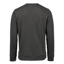 GRANITE - BACK