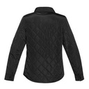 BLACK BACK