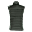 CYPRESS - BACK