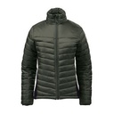 SPRUCE/MALLARD