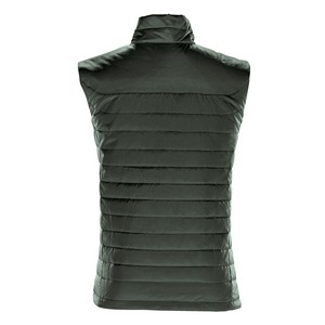 CYPRESS - BACK