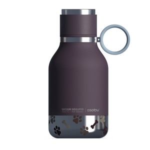 Burgundy/Silver
