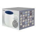 White/Blue Blank Box
