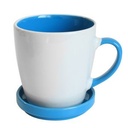 Blue/White