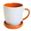 Orange/White