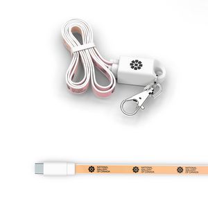 [4201] Lanyard Type C: 2-in-1 lanyard and USB C charging cable