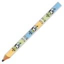 SimpliColor Carpenter Pencil (Digital Full Color)